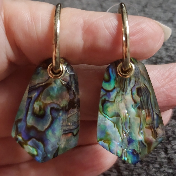Jewelry - Abalone Shell Dangle Earrings